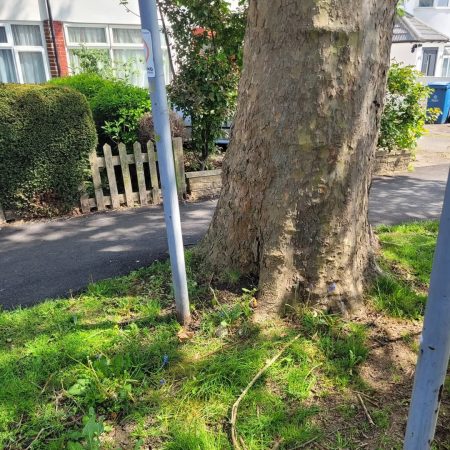 fly-tipping-services-in-harrow